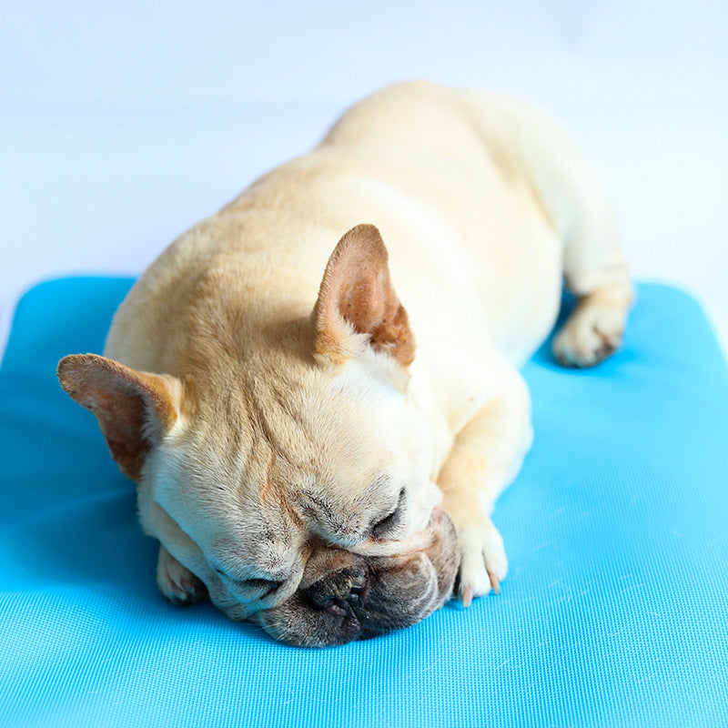 # Mesh Pet Cooling Sponge Sleeping Mat