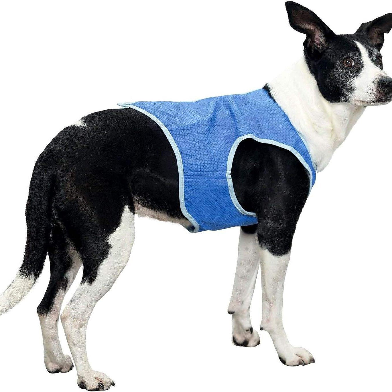 # PVA Pet Summer Cooling Vest
