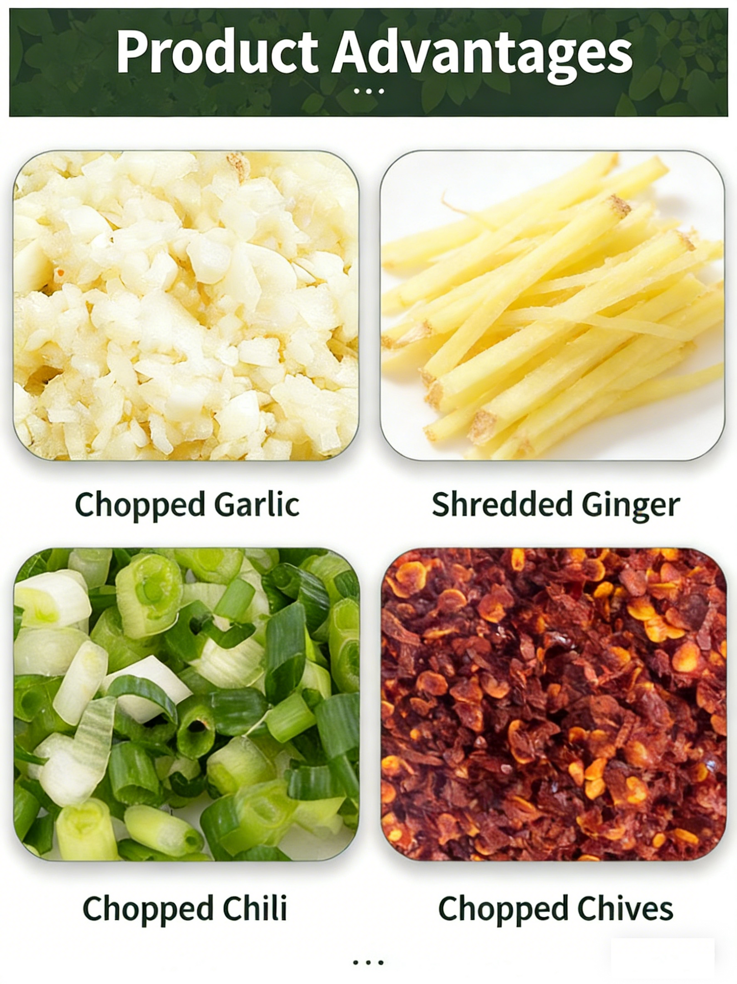 Stainless Steel Manual Garlic Cutter