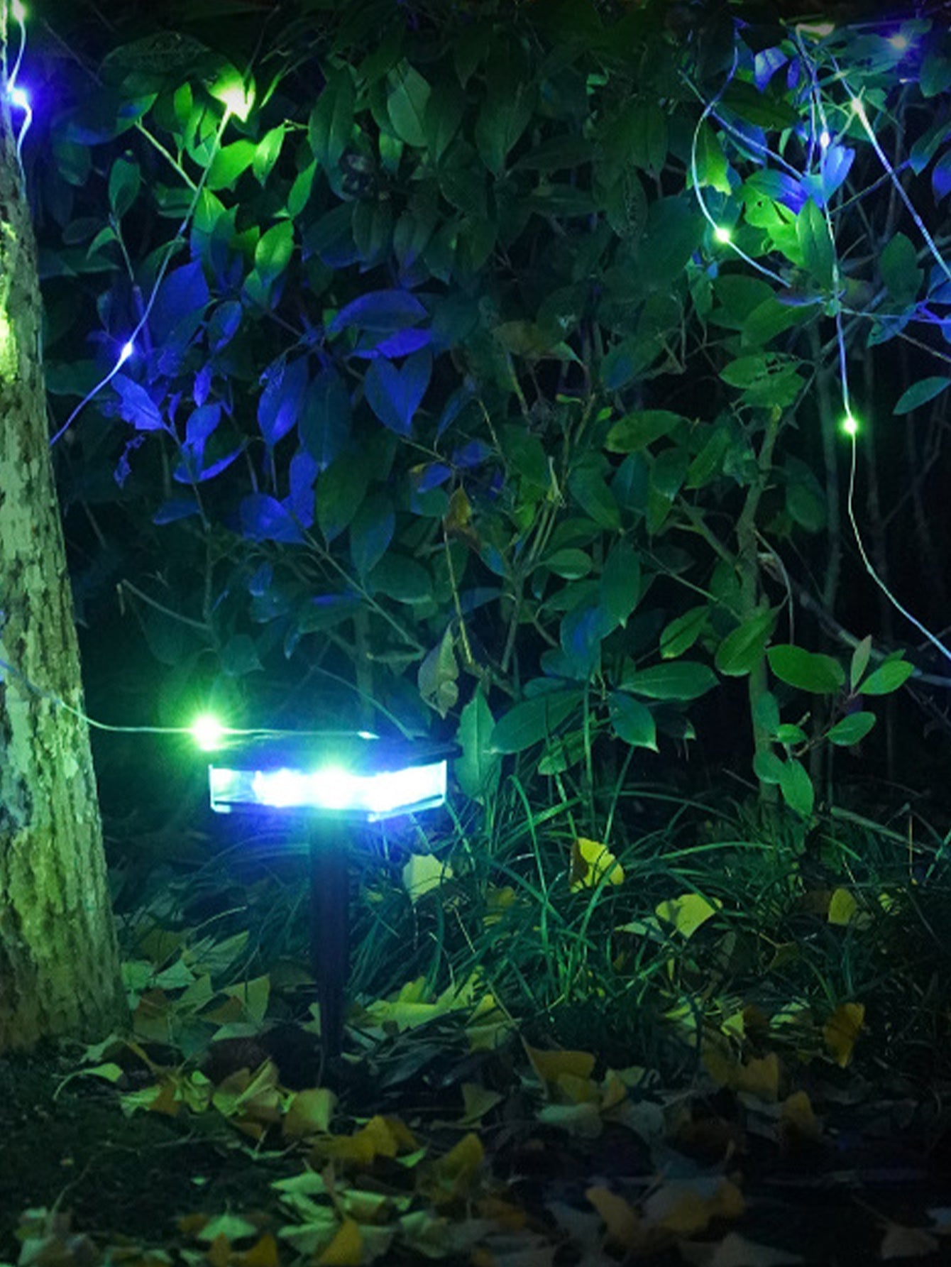 Solar Outdoor Atmosphere Light