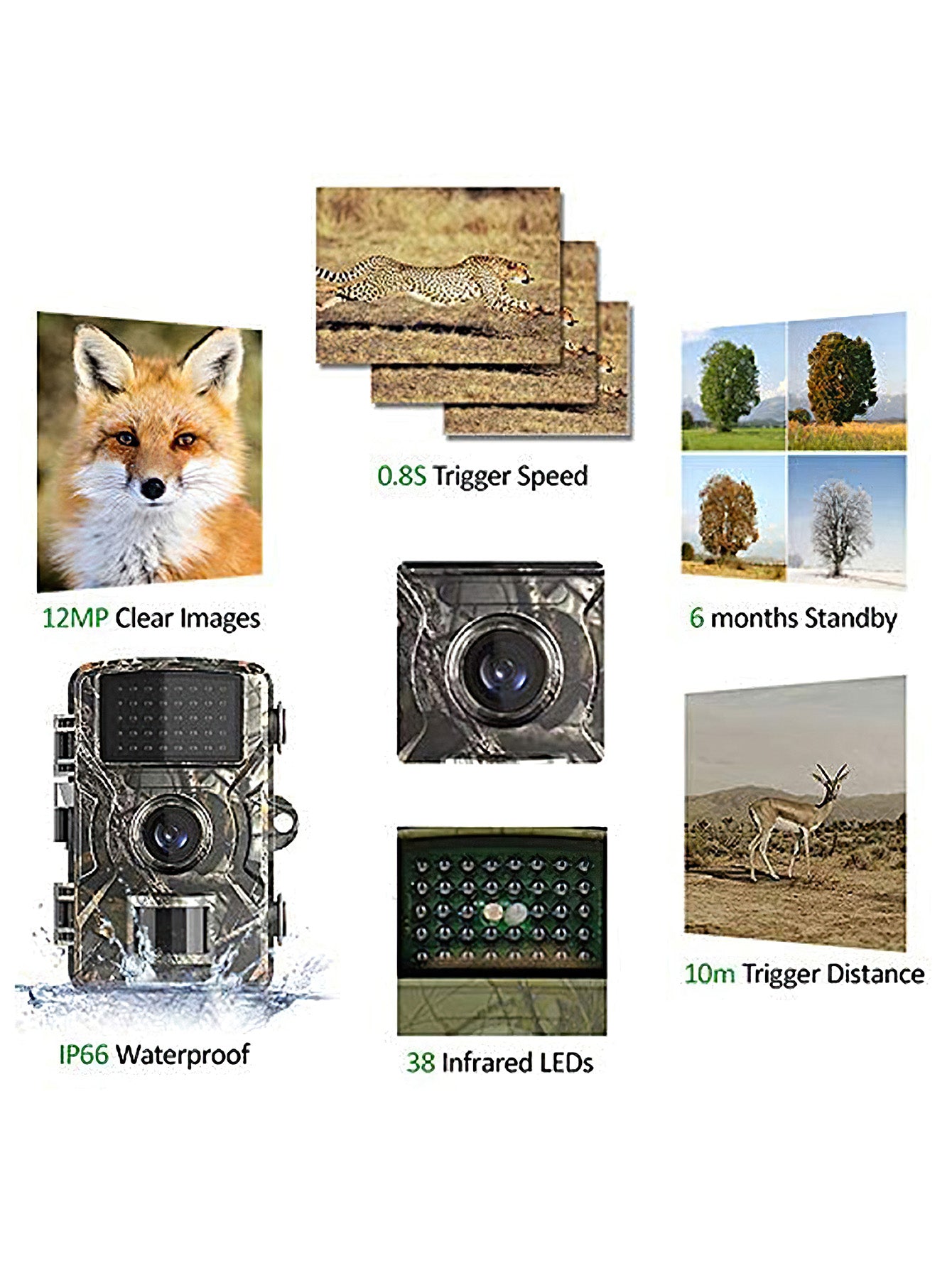 Infrared Night Vision Waterproof HD Hunting Camera