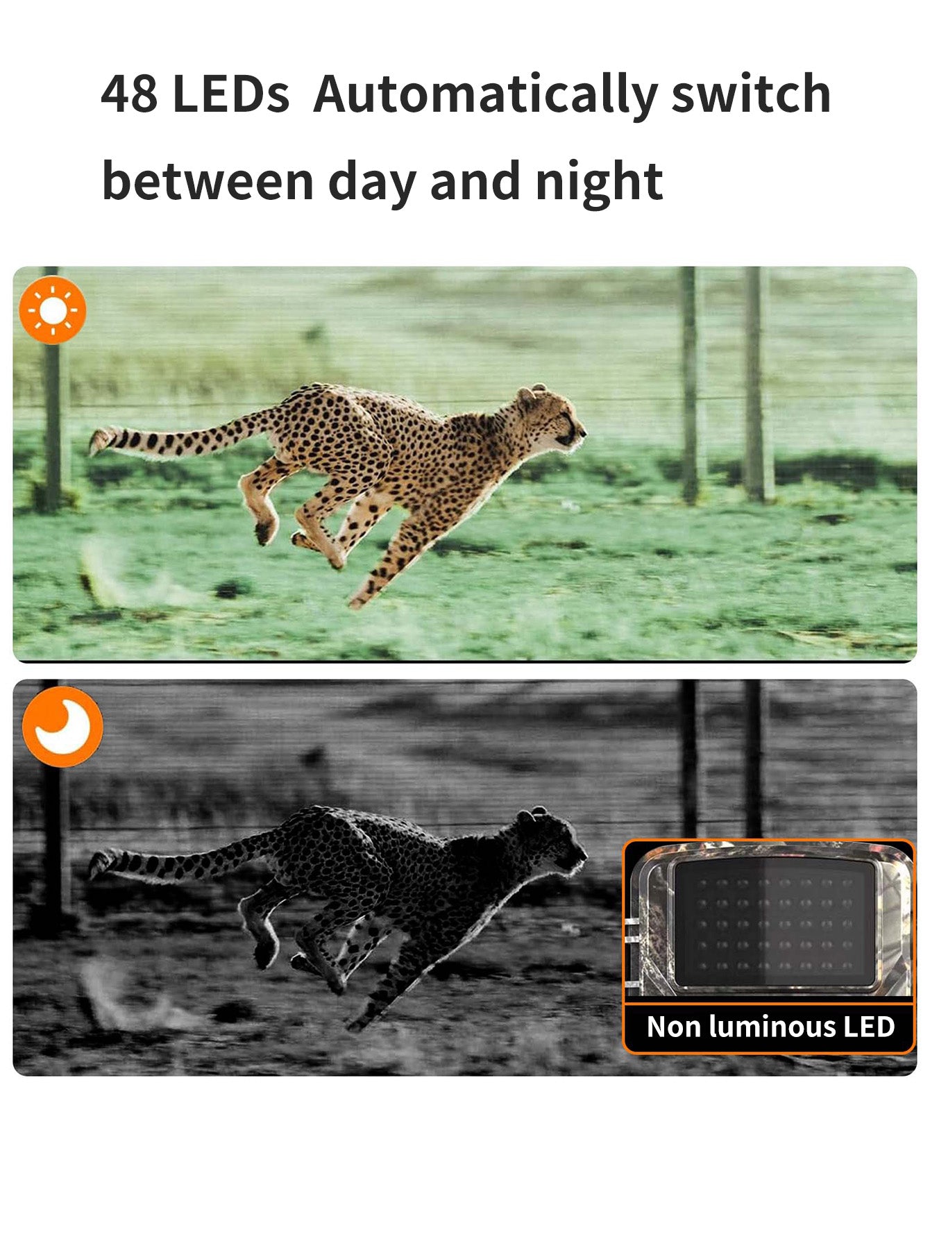 IP66 Waterproof Hunting Camera: Infrared Night Vision Trail Camera for Farm & Outdoor Security