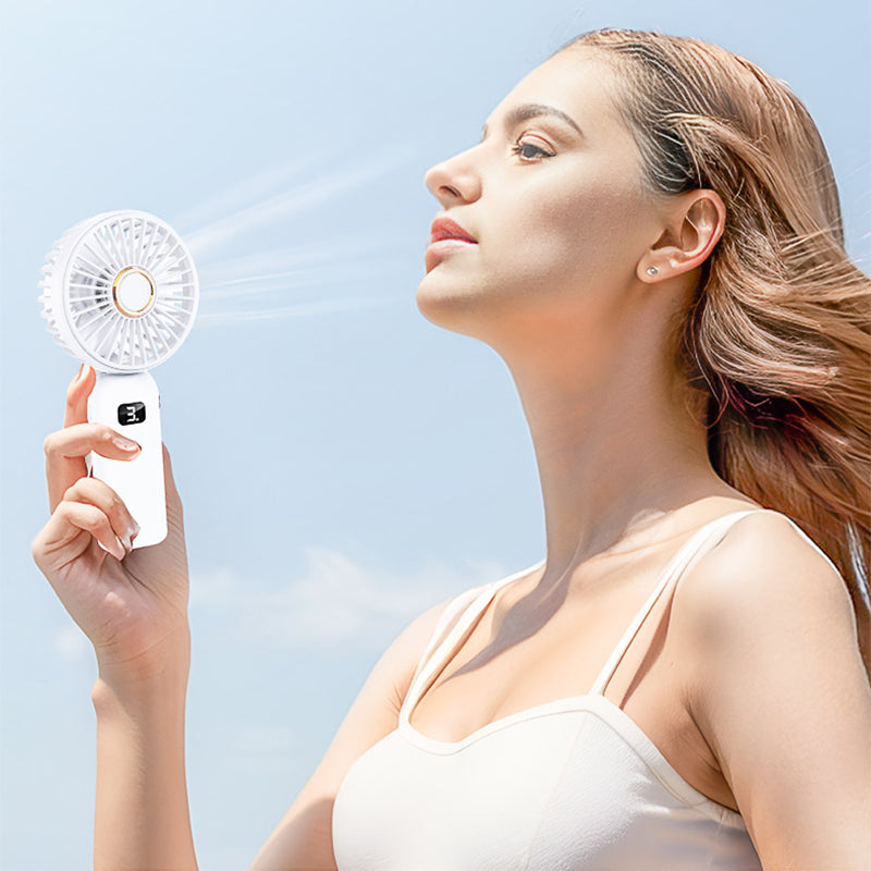 Handheld small fan