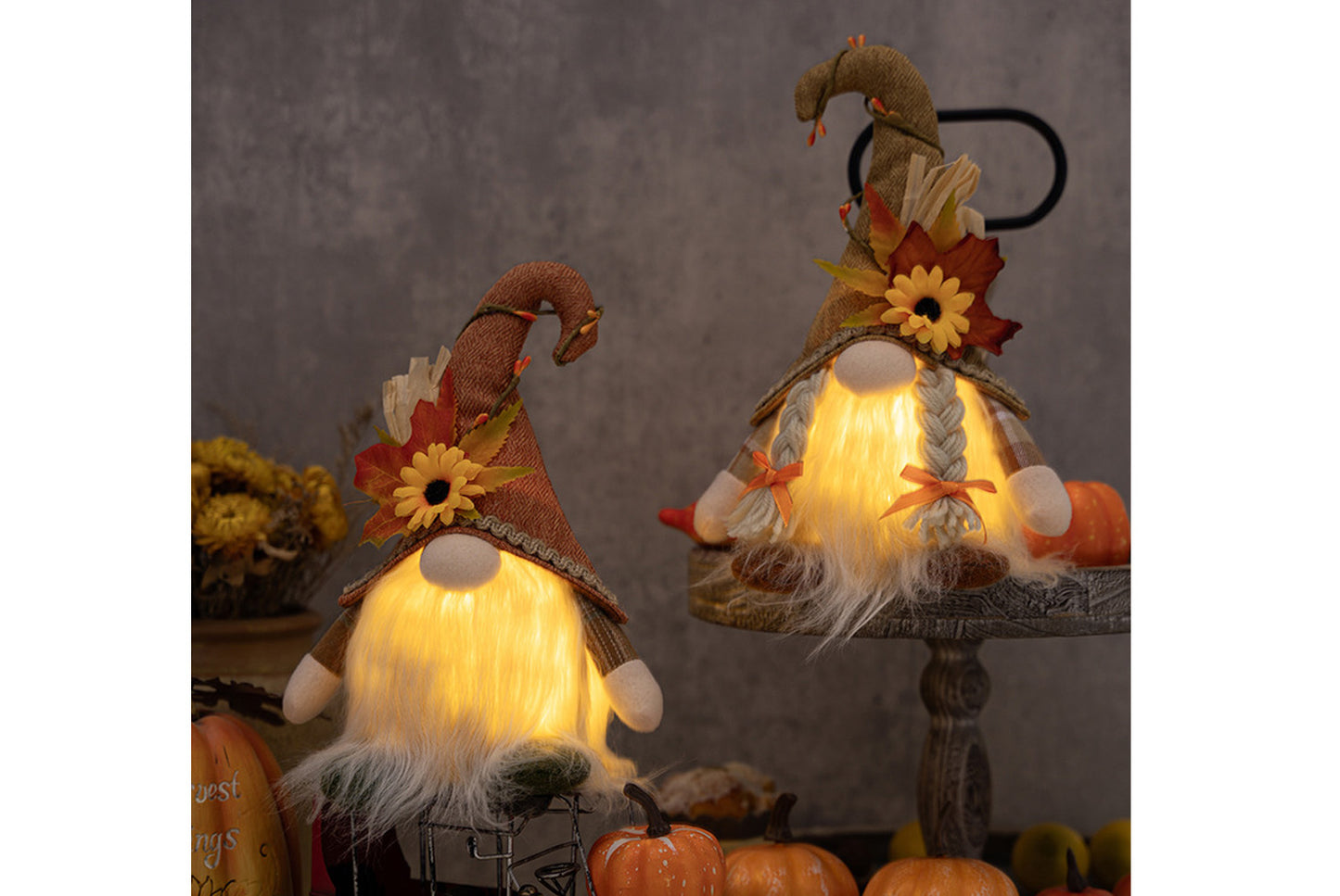 Rudolph Gnomes with Sunflower Hat and Lights