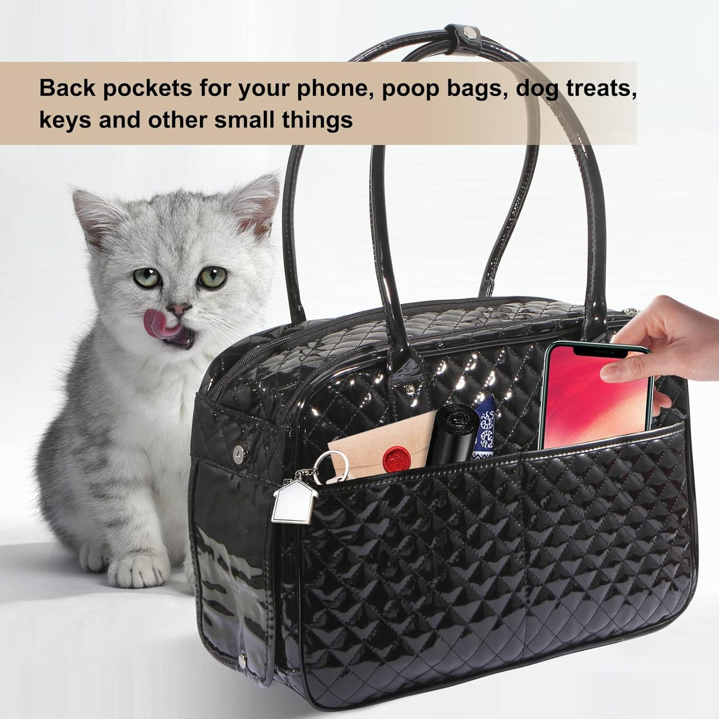 Portable and breathable foldable pet bag