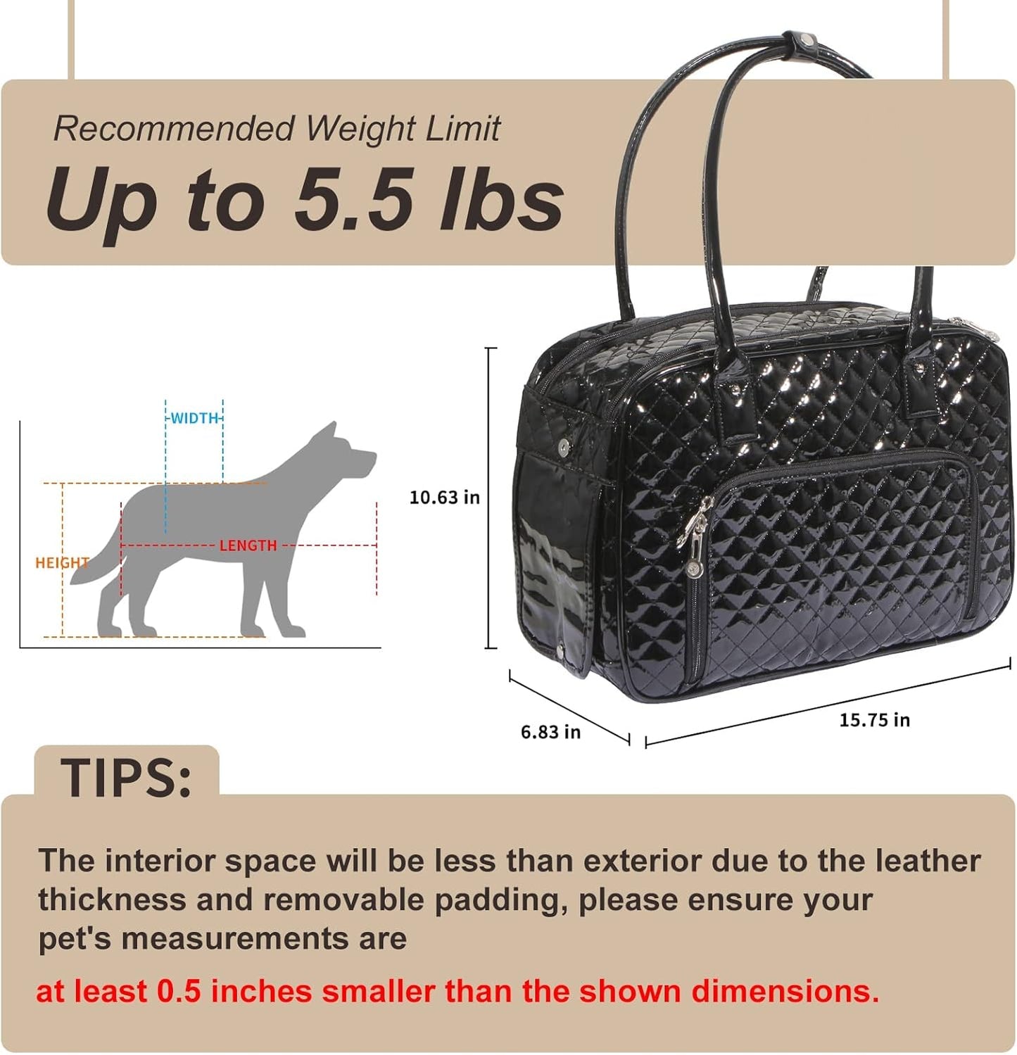 Portable and breathable foldable pet bag
