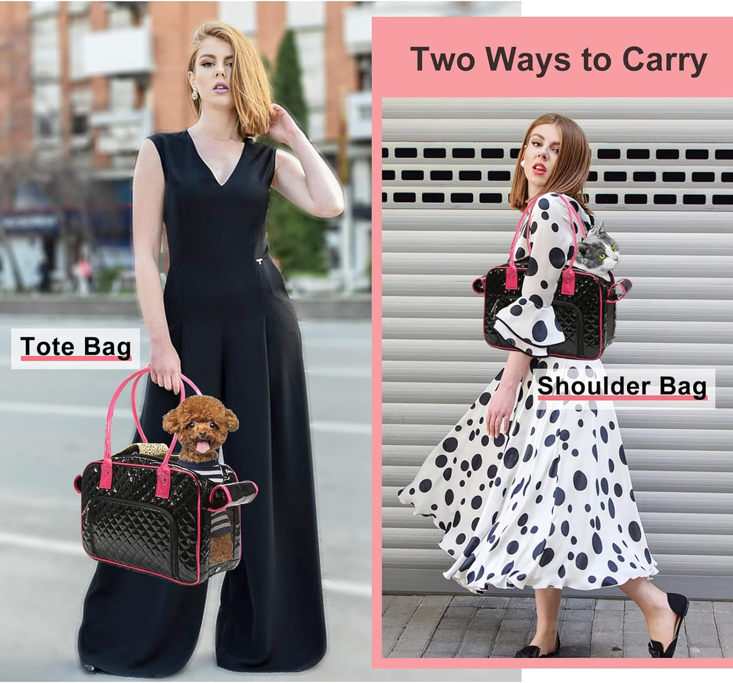 Portable and breathable foldable pet bag