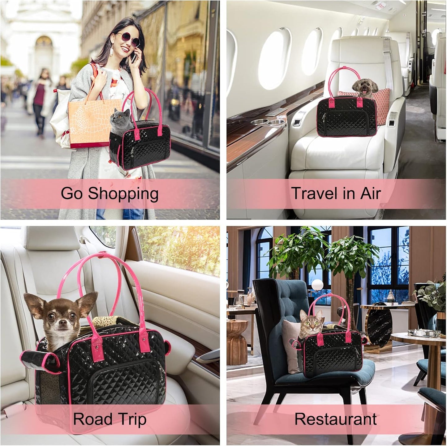 Portable and breathable foldable pet bag