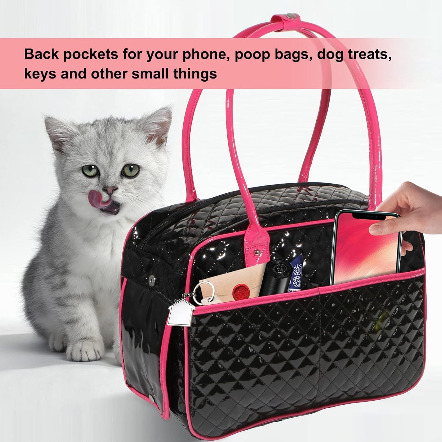 Portable and breathable foldable pet bag