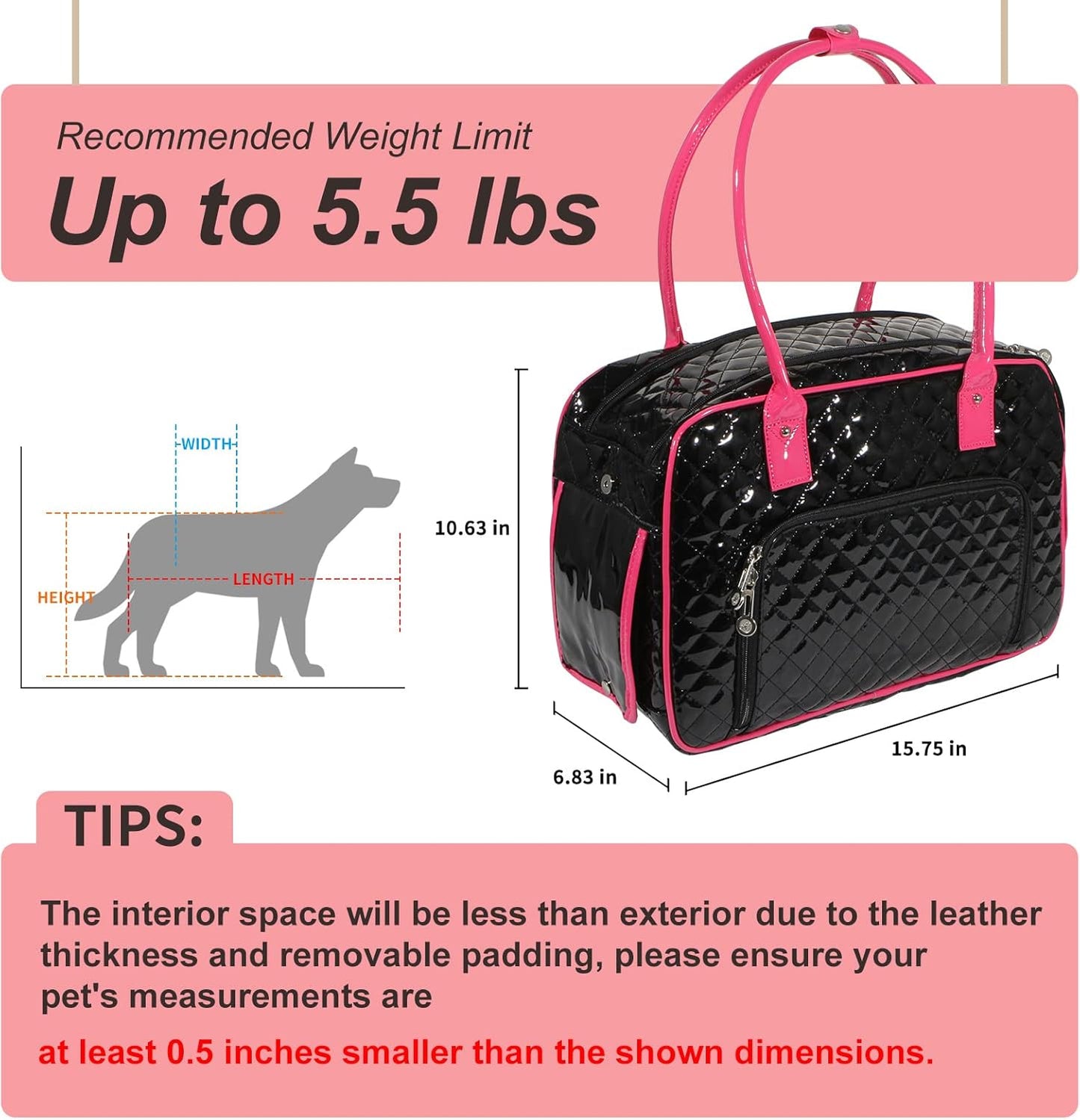 Portable and breathable foldable pet bag