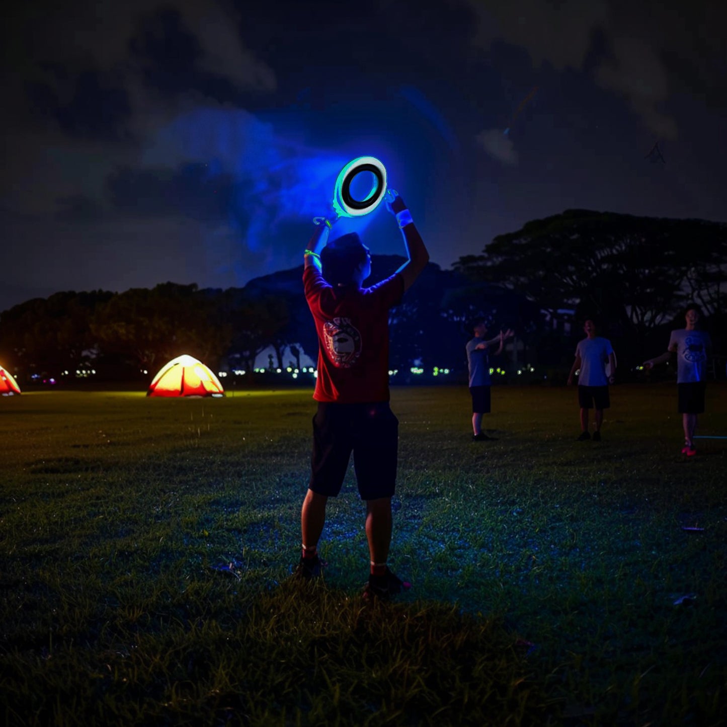 Luminous LED Frisbee