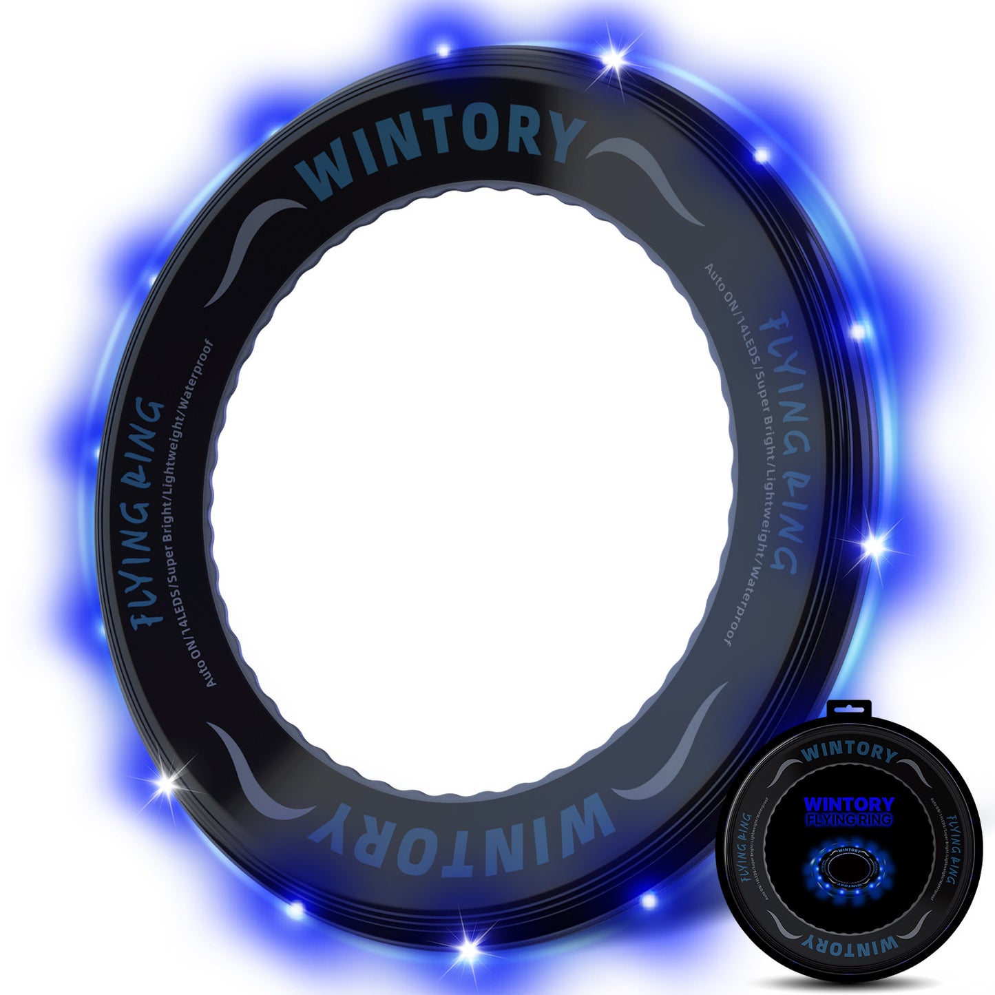 Luminous LED Frisbee