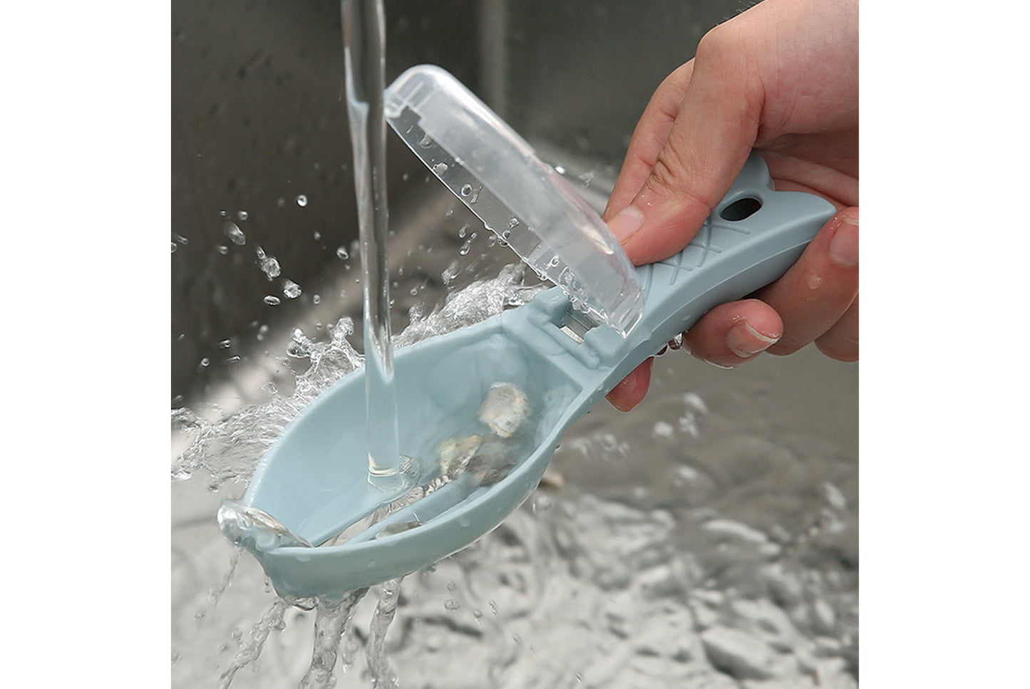 Household fish scaler with lid