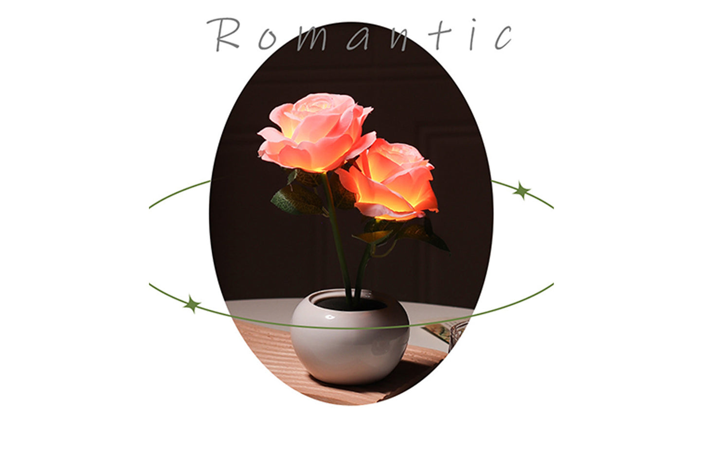 Preserved Rose Night Light