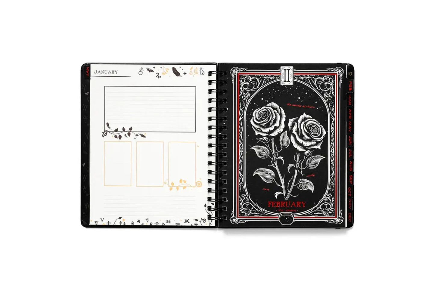 **Waiting for the Night Weekly Planner 2026 | Paper Cover**