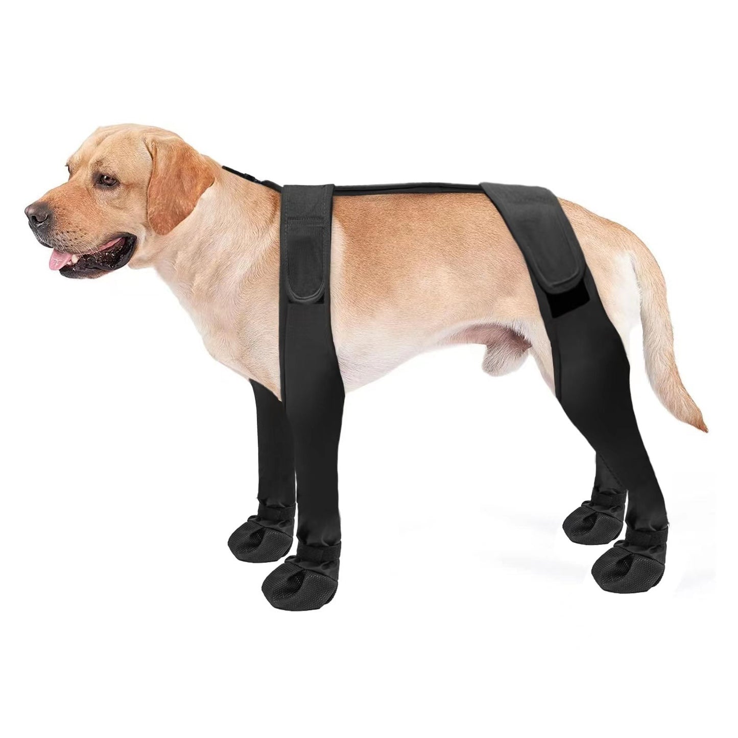 Pet Stain-Proof and Waterproof Dog Boots