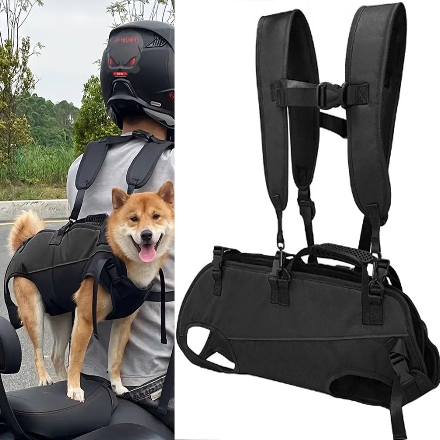 Pet outdoor backpack
