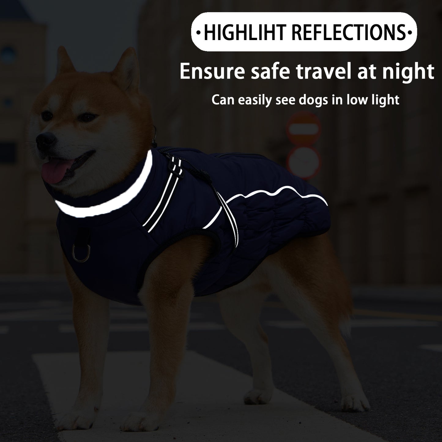 Winter Warm Jacket for Medium to Large Dogs