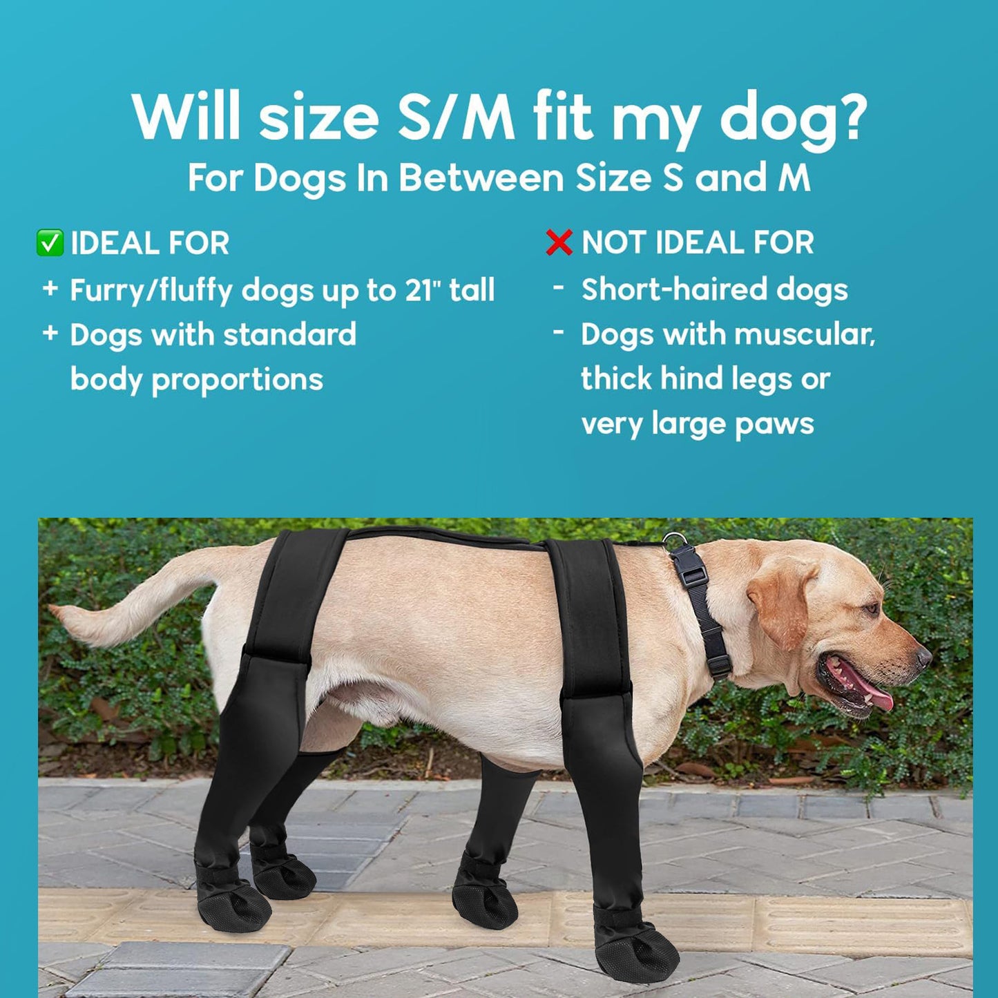Pet Stain-Proof and Waterproof Dog Boots