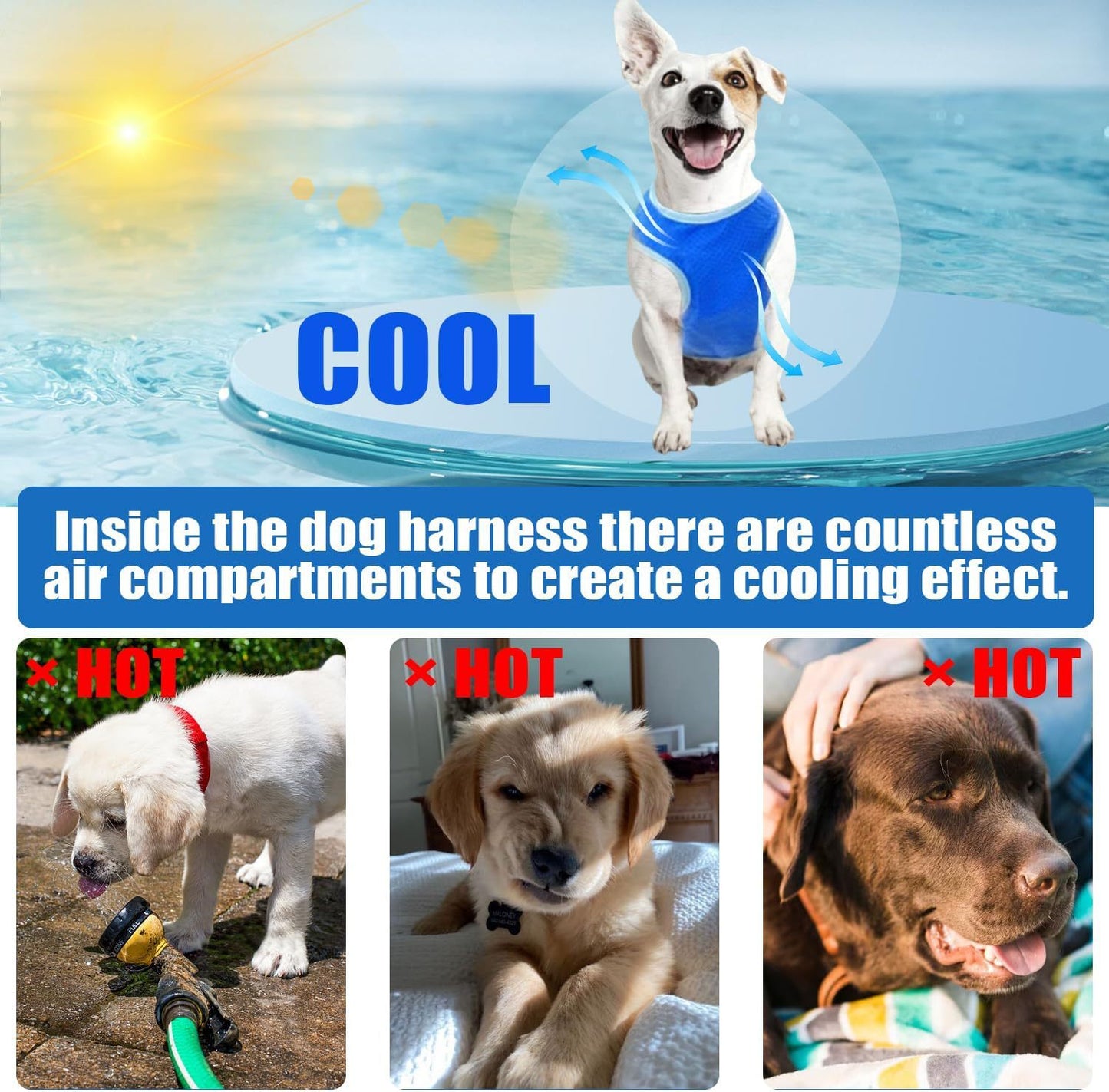 # PVA Pet Summer Cooling Vest