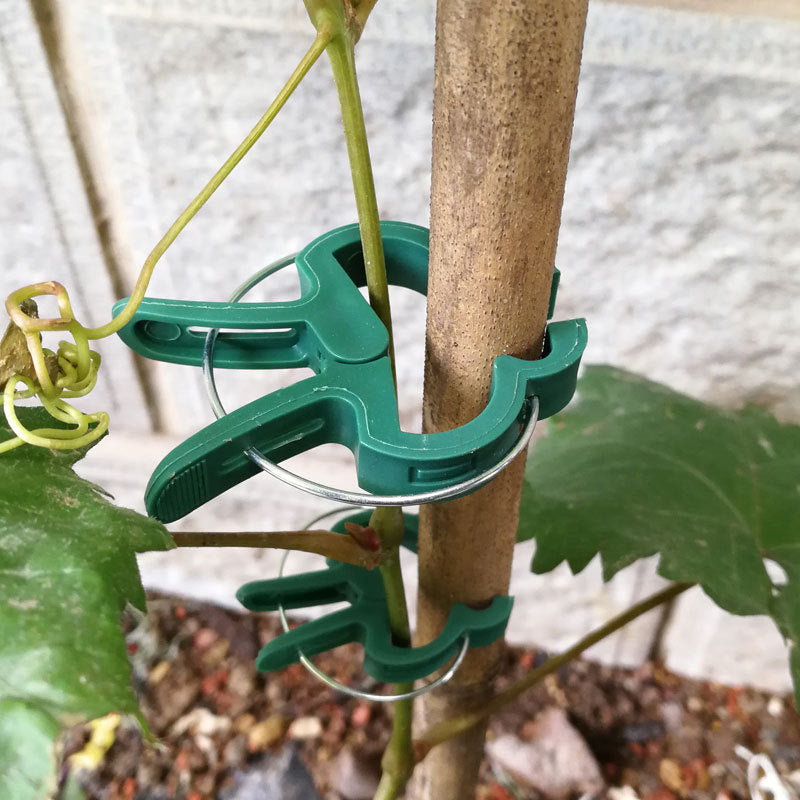 # Garden Plant Fixing Clips