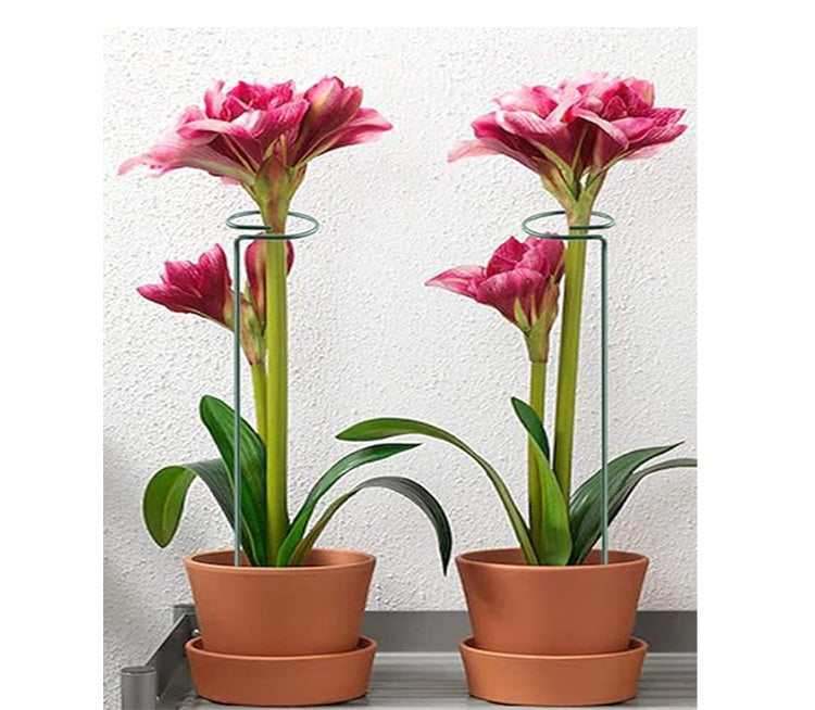 # Multi-Size Plant Support Stand