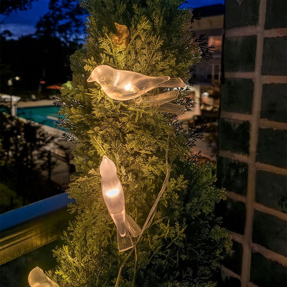 # Solar-Powered Outdoor Bird Decorative String Lights