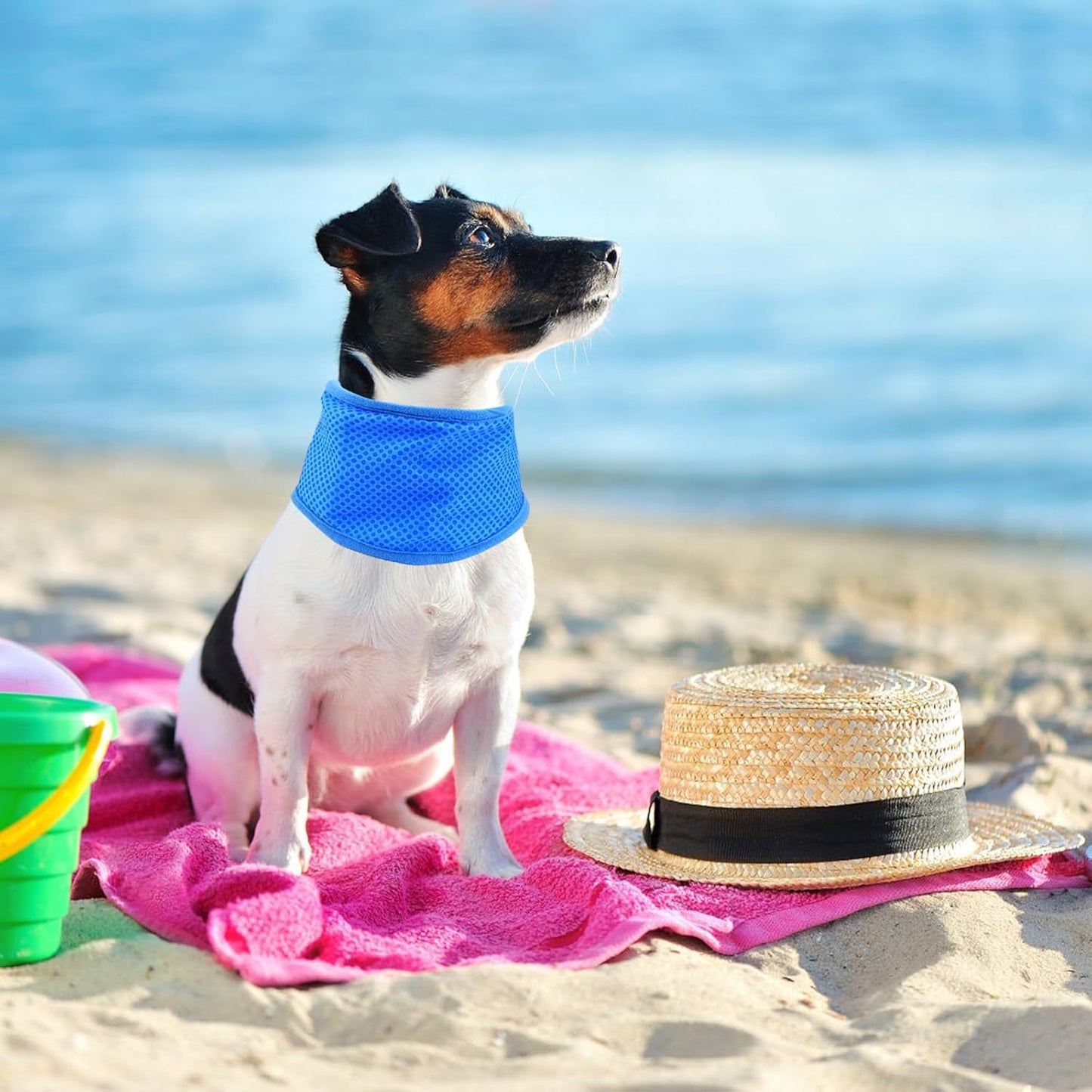 # Summer Pet Cooling Scarf