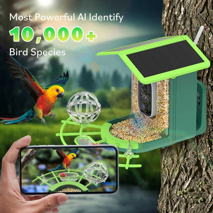 Smart bird feeder
