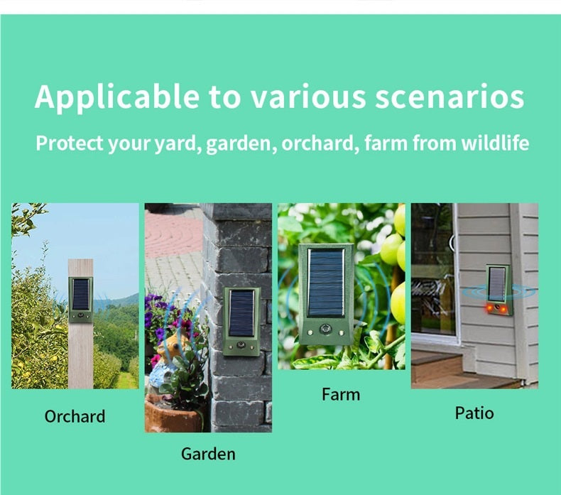 Outdoor Bird Repeller