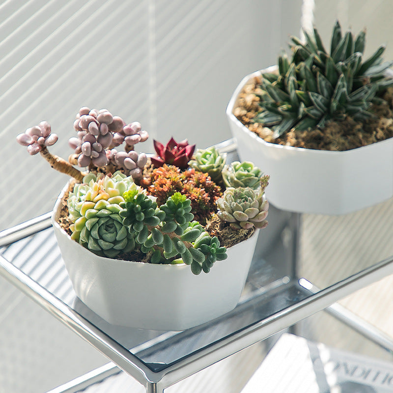 **Resin Plastic Succulent Flower Pots**