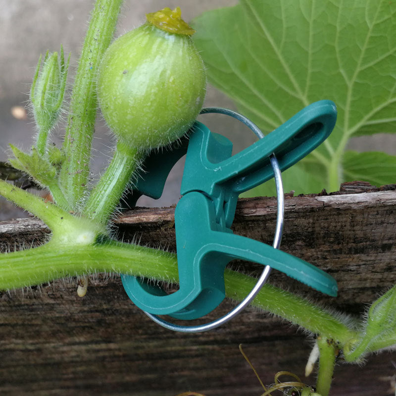 # Garden Plant Fixing Clips