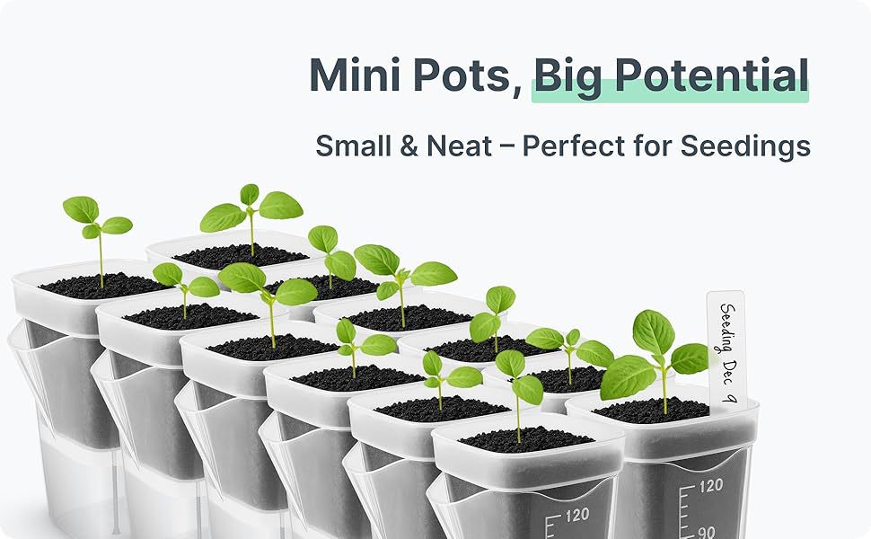 # Square Thickened Seedling Pot for Succulents