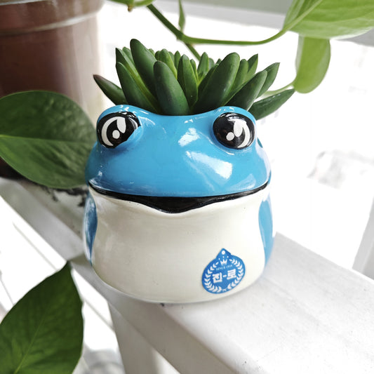 Home &amp; Patio Succulent Frog Flower Pot