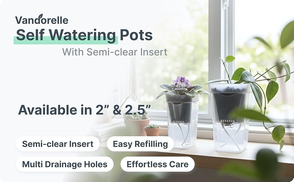 # Square Thickened Seedling Pot for Succulents