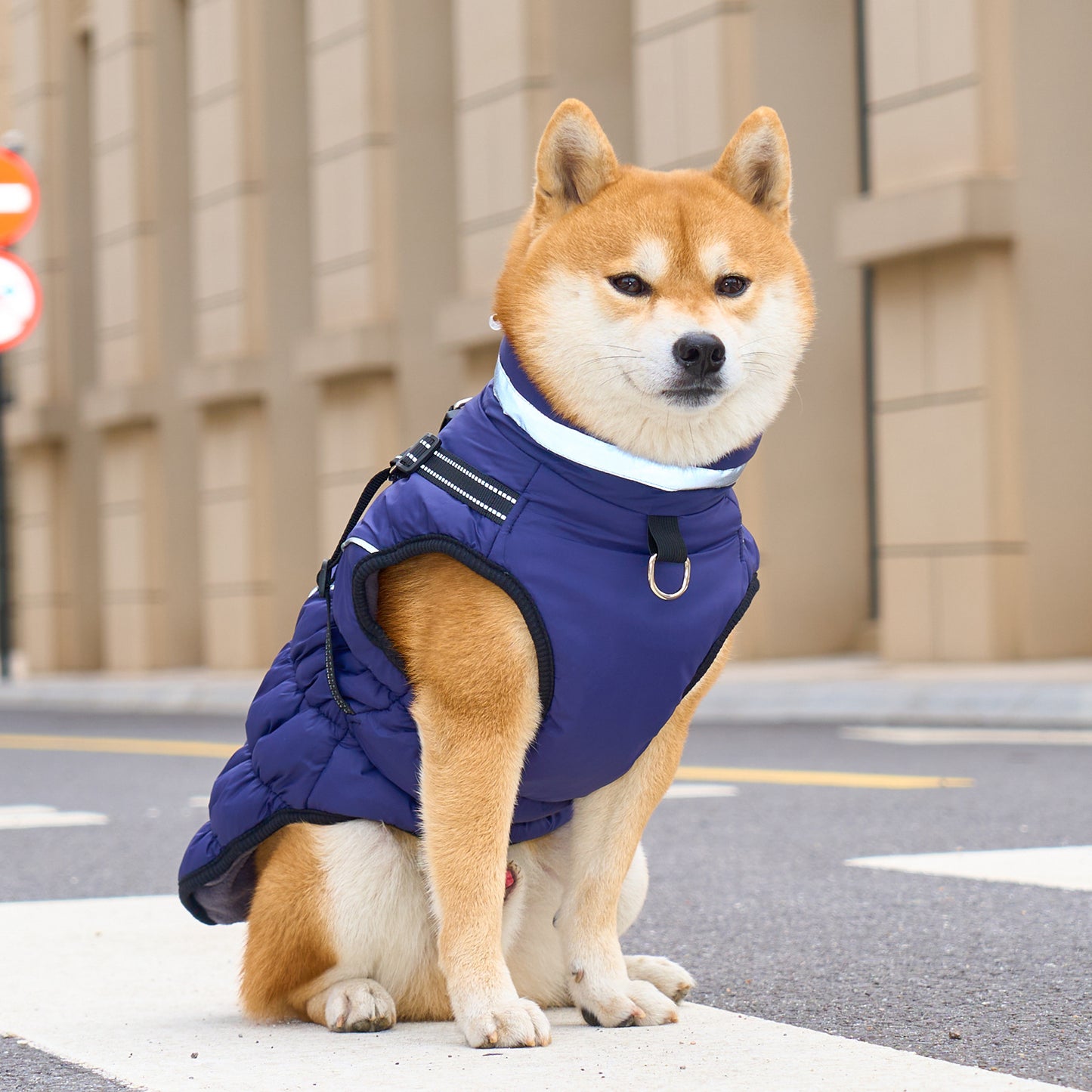 Winter Warm Jacket for Medium to Large Dogs