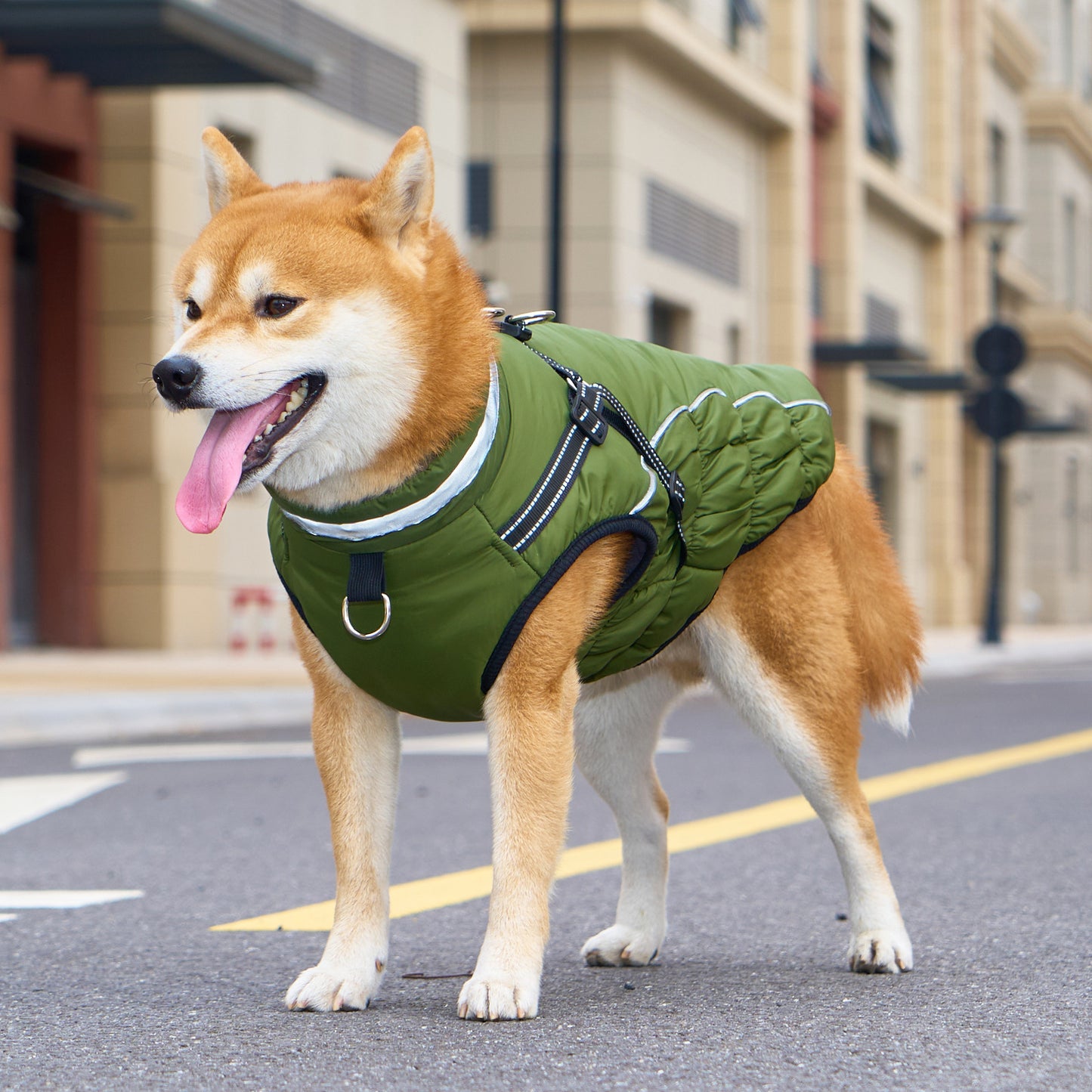 Winter Warm Jacket for Medium to Large Dogs