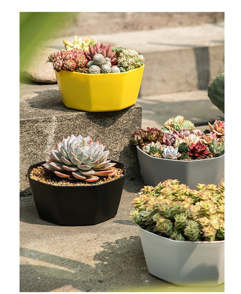 **Resin Plastic Succulent Flower Pots**