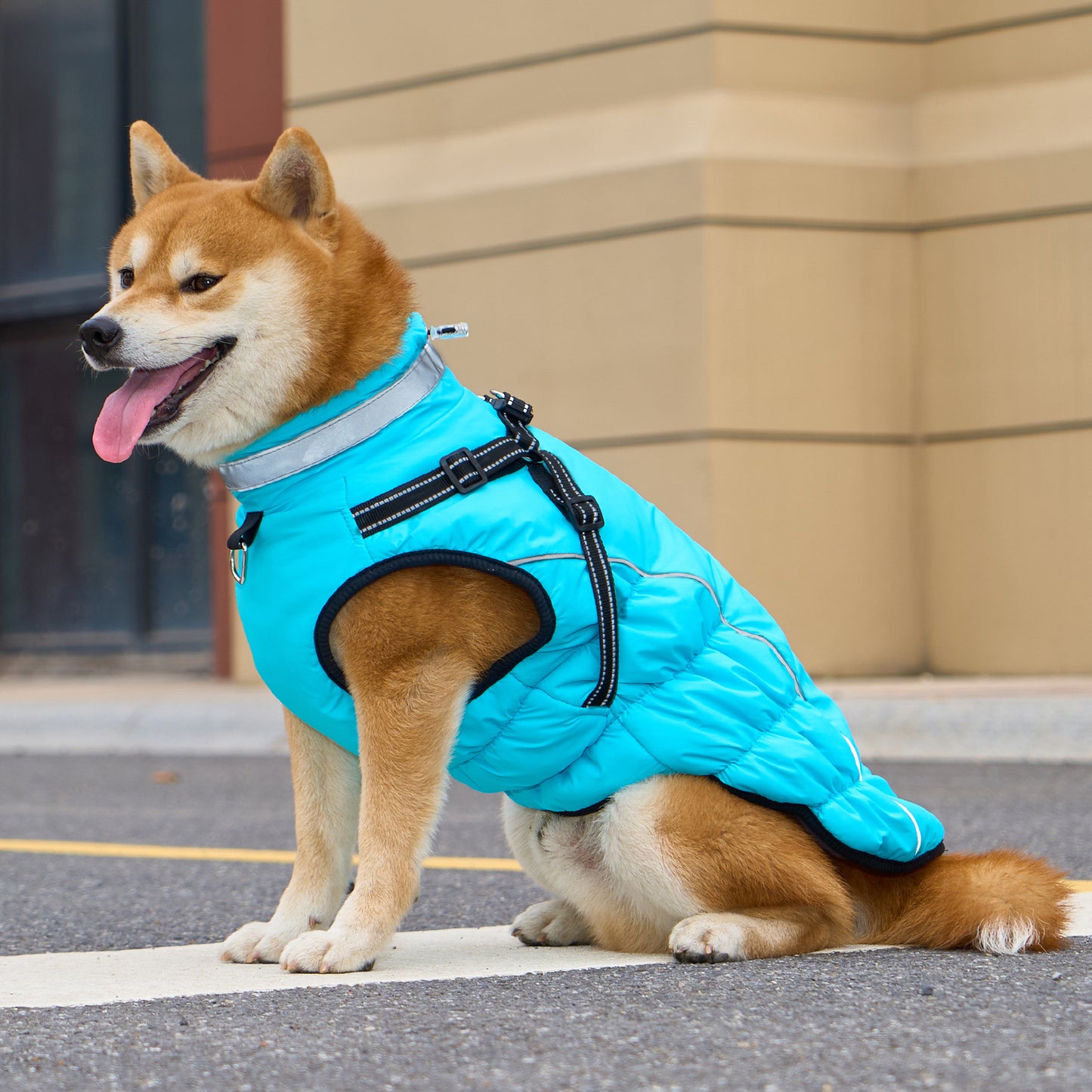 Winter Warm Jacket for Medium to Large Dogs