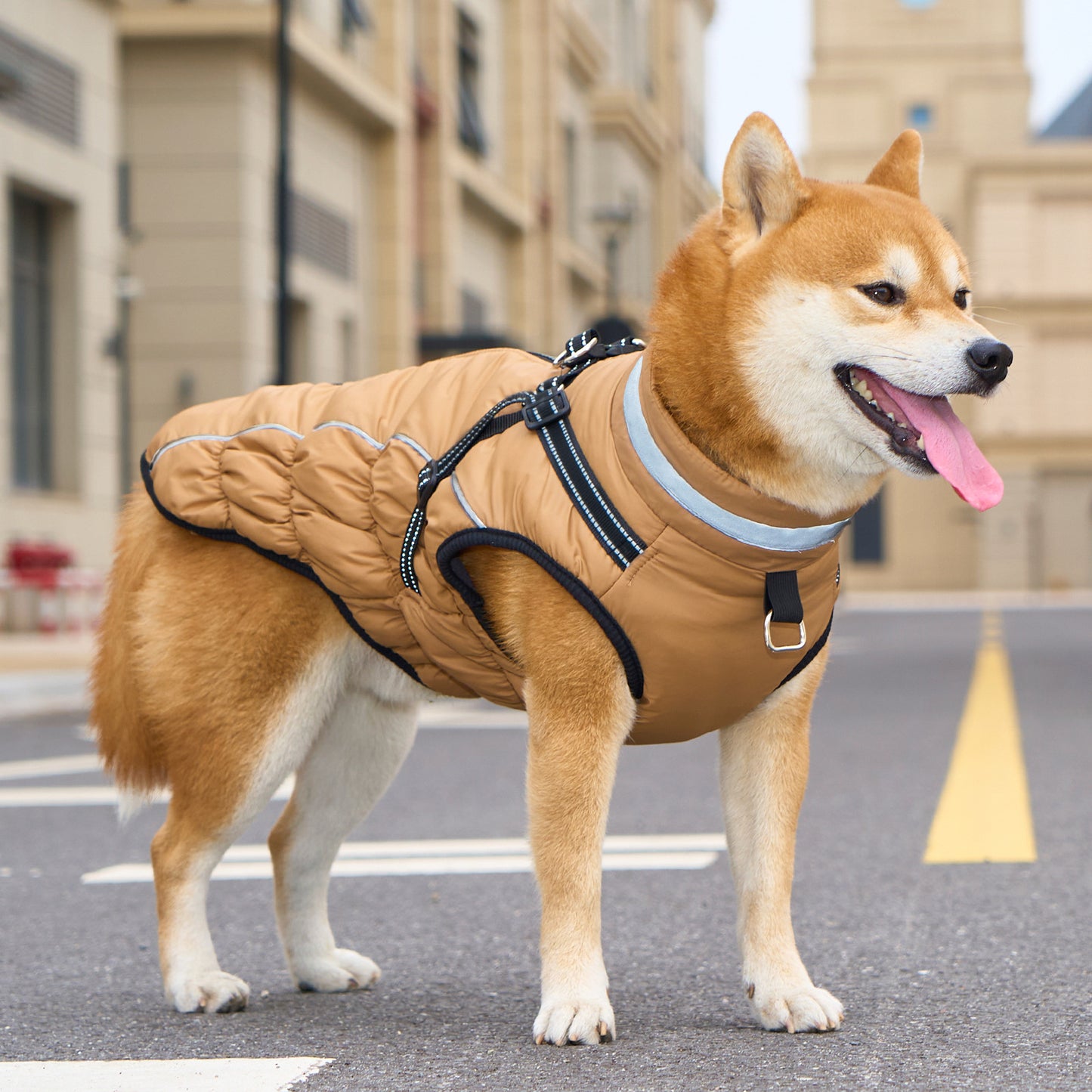 Winter Warm Jacket for Medium to Large Dogs