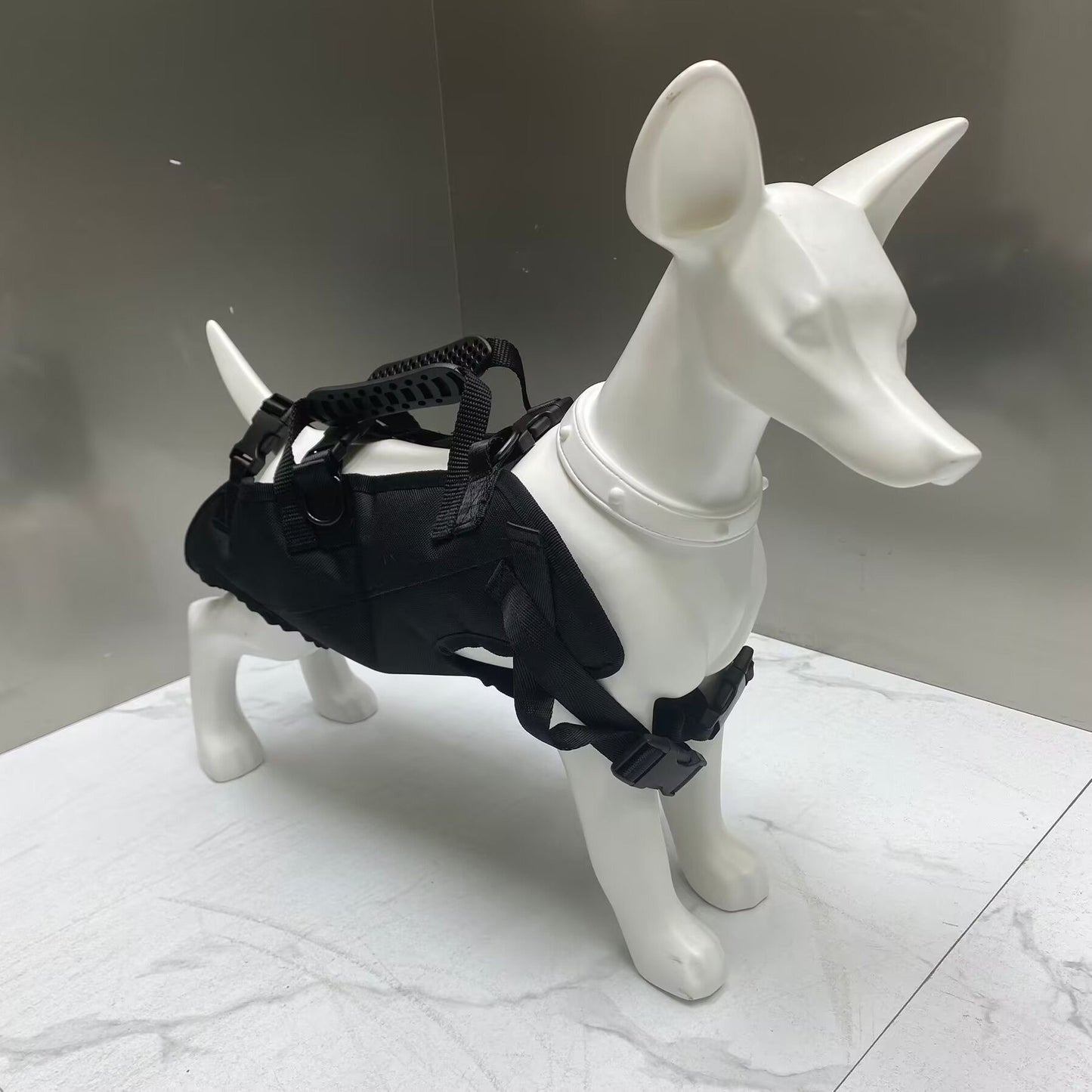 Pet outdoor backpack