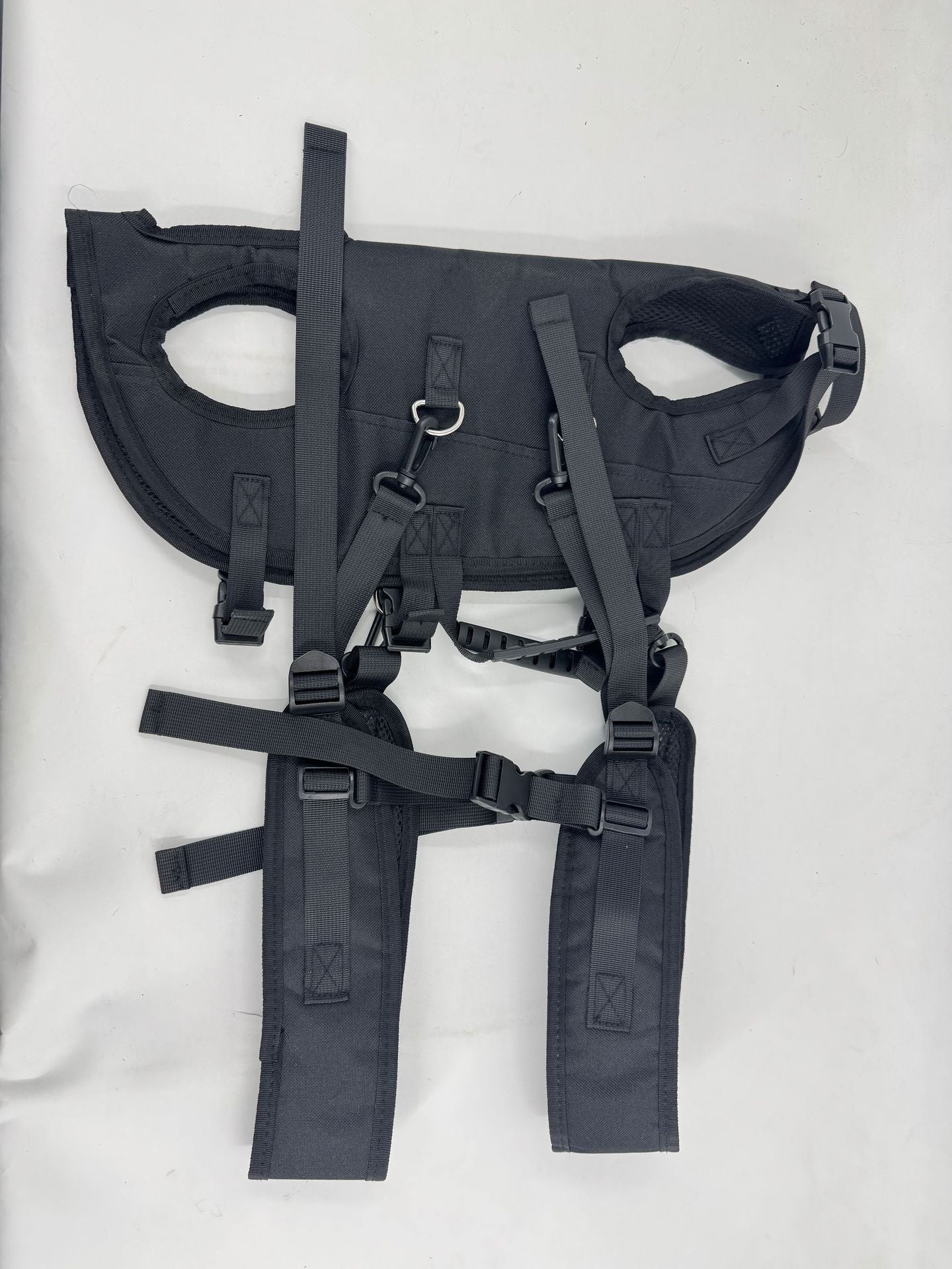 Pet outdoor backpack