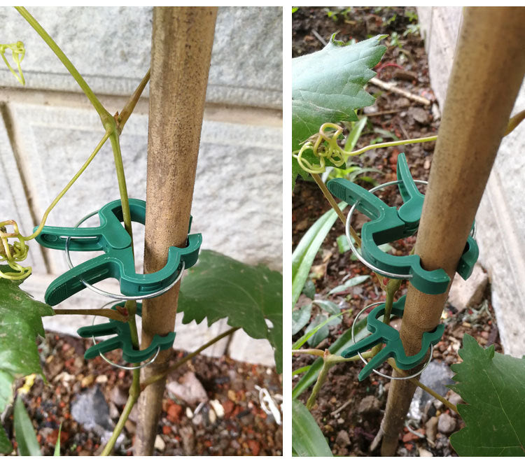 # Garden Plant Fixing Clips