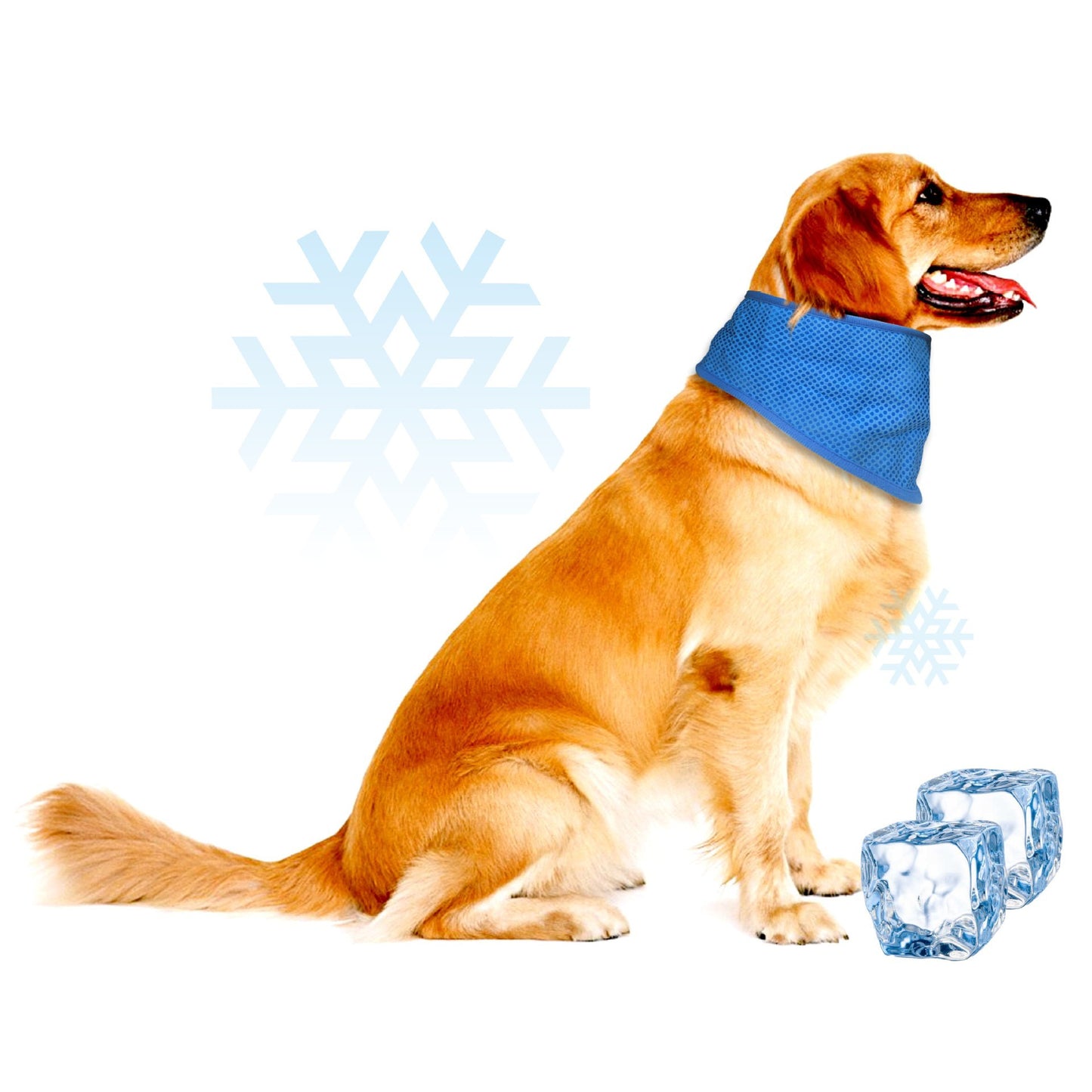 # Summer Pet Cooling Scarf