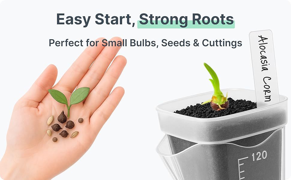 # Square Thickened Seedling Pot for Succulents