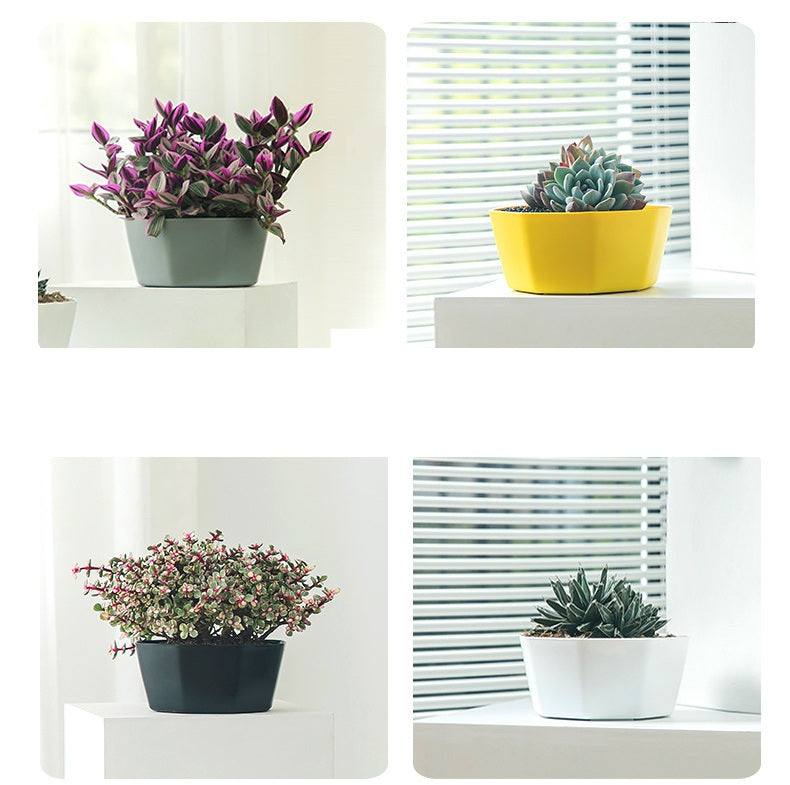 **Resin Plastic Succulent Flower Pots**