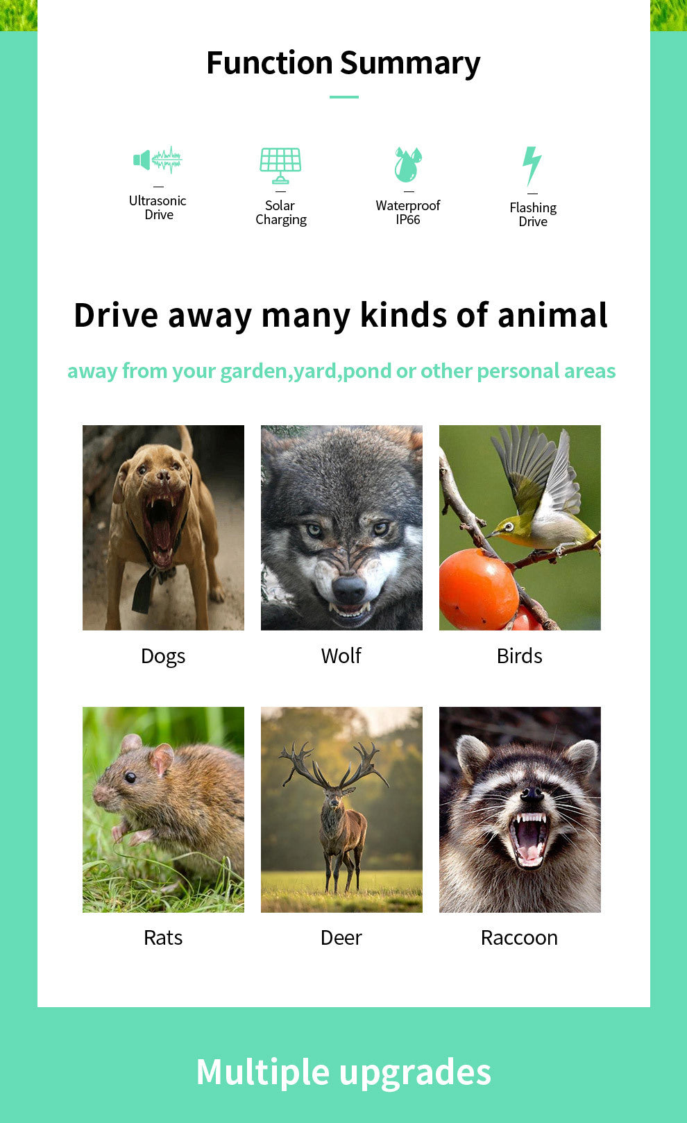 Ultrasonic Animal Repeller