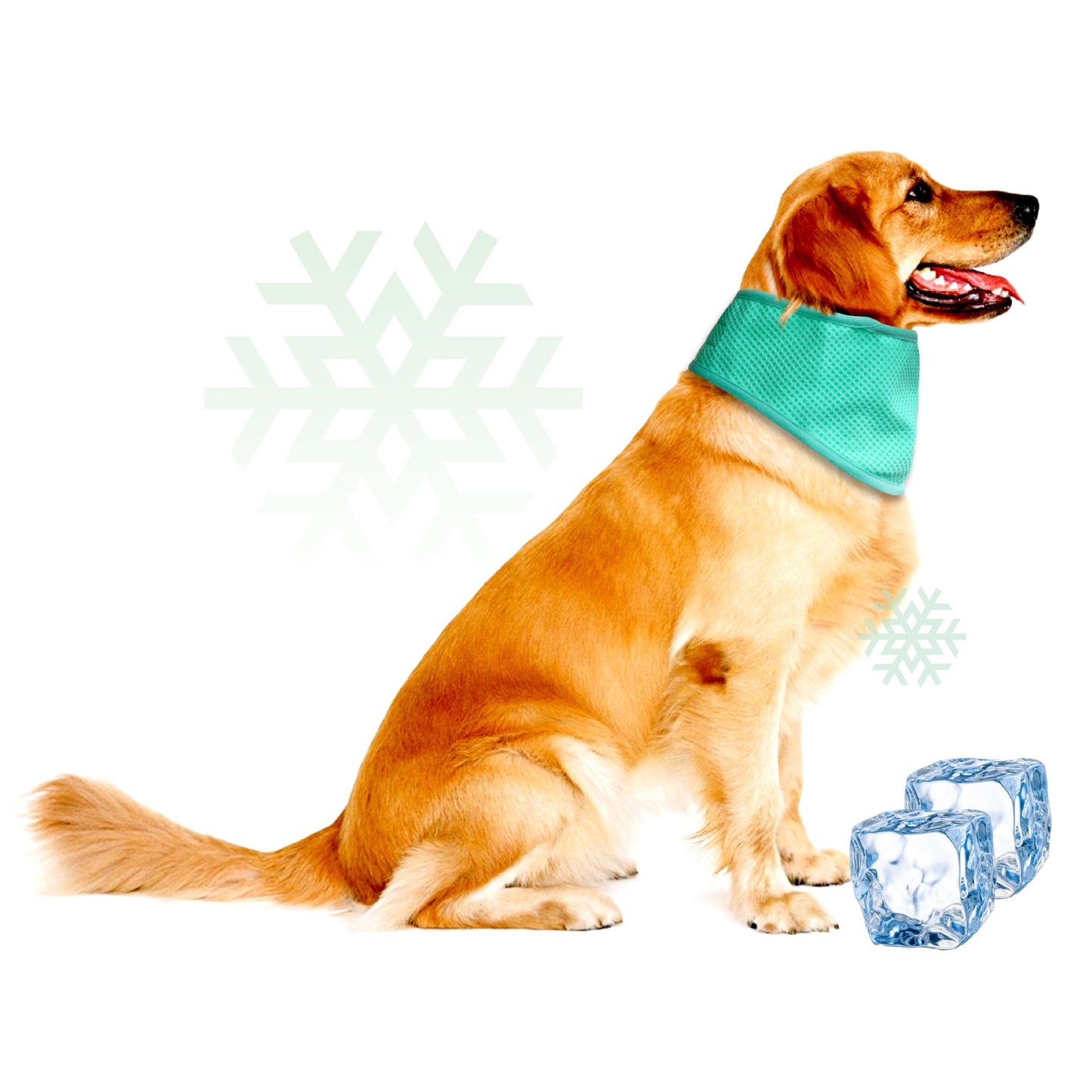 # Summer Pet Cooling Scarf
