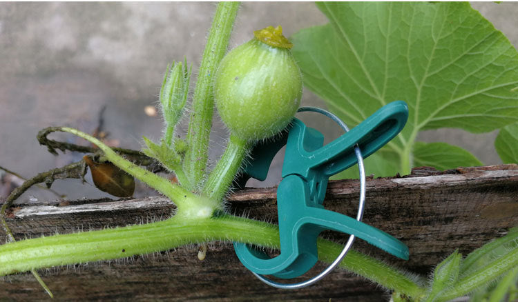 # Garden Plant Fixing Clips