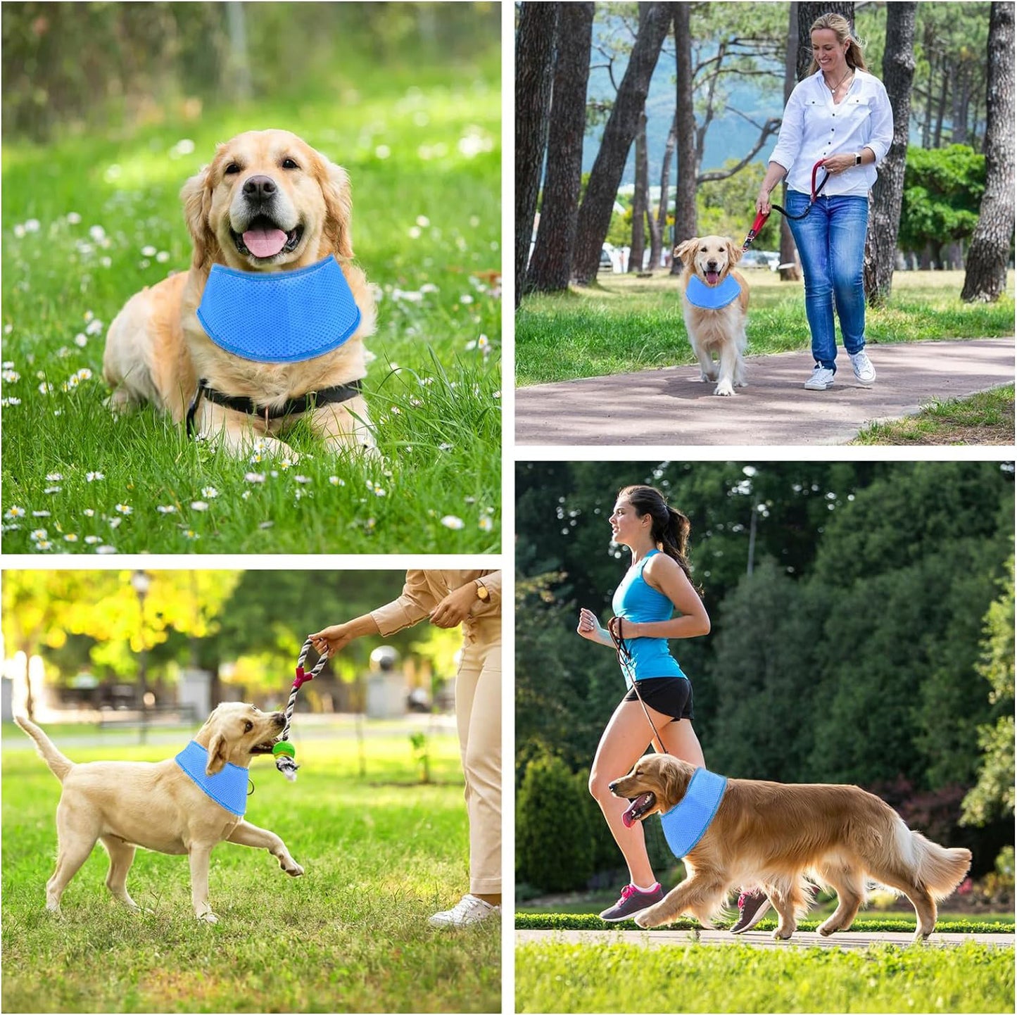 # Summer Pet Cooling Scarf